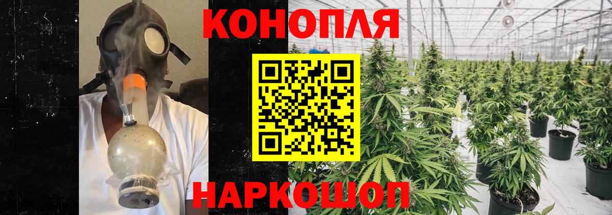 МАРИХУАНА планчик  МАРИХУАНА сатива  Вход с VPN  Кизилюрт 